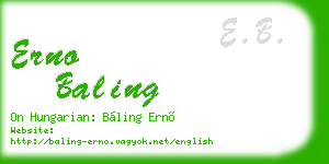 erno baling business card